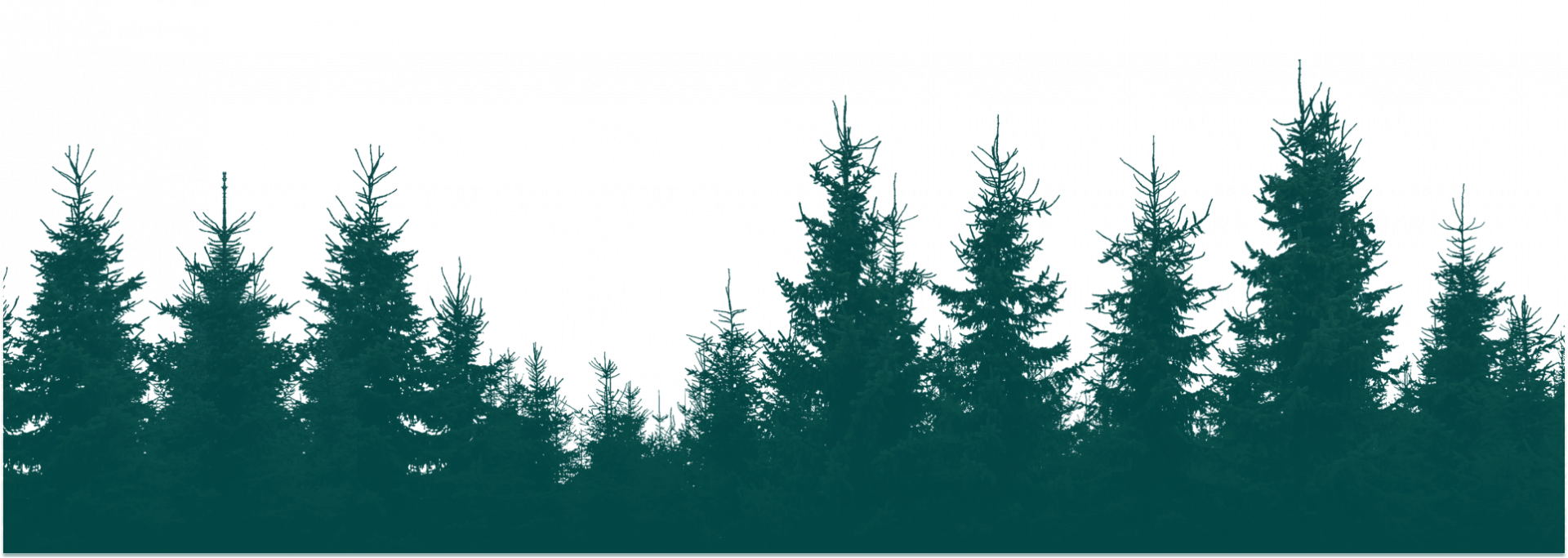 Background only